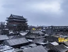 板球预选赛掀起高潮，西城白虎队逆转泰山天狼队，高压逼抢奏功——经验成为胜负手的简单介绍