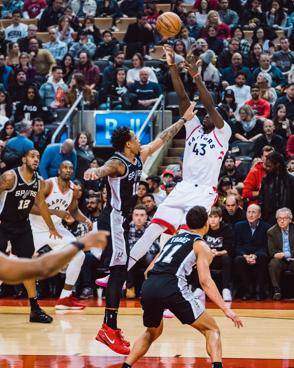 蜂鸟- 西亚卡姆十佳球 